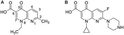 Interplay of the Quality of Ciprofloxacin and Antibiotic Resistance in Developing Countries